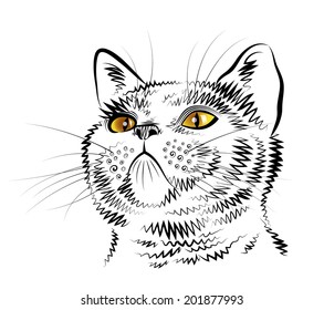 Vector sketch of cat on the white background.