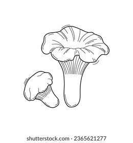 Vector sketch chanterelles mushrooms black and white graphics, autumn mushrooms isolated on white background