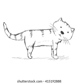 Vector Sketch Character - Funny Cat