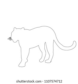 vector, sketch of cheetah, jaguar standing