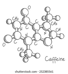 Vector sketch chemical structure formula of Caffeine