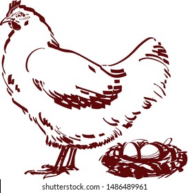 the vector sketch of the chicken with an egg and here chicks