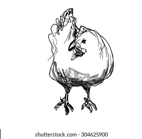 Vector sketch of a chicken. Front view.