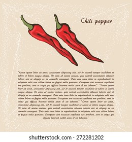 Vector sketch of  chili