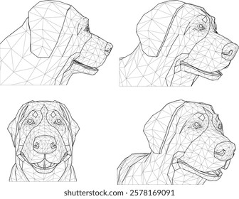 vector sketch closeup design of hunting dog animal head for home pet