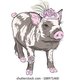Vector sketch closeup portrait of black fashionable funny Pot-bellied pig  in beautiful hat wit flowers and garter of bride