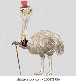 Vector sketch closeup portrait of funny Ostrich Bird hipster in red top hat and gold bowtie with walking stick