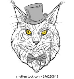 Vector sketch closeup portrait of funny Maine Coon cat hipster in the red hat, pince-nez eyeglasses and bowtie