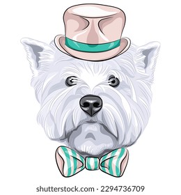 Vector sketch closeup portrait of serious dog West Highland White Terrier breed in a beige silk hat and bow tie