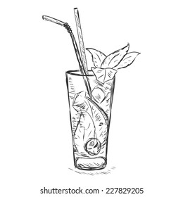 Vector Sketch Cocktail Mojito with Mint Leaves and Straws 