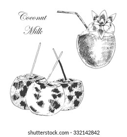 vector sketch of coconut milk cocktail for summer illustration in vintage style