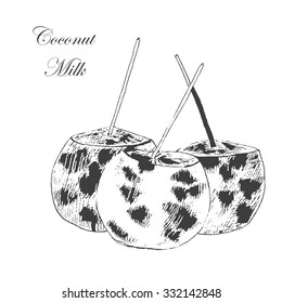 vector sketch of coconut milk cocktail for summer illustration in vintage style