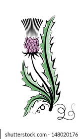 Vector sketch of a color flower thistle on a white background.