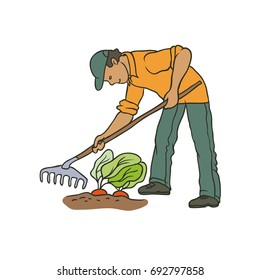 Vector sketch coloured illustration of farmer. Man with rake weeding vegetables. Autumn gardening harvest. Drawn contour cartoon character peasant working in garden. Isolated graphic on white ground.