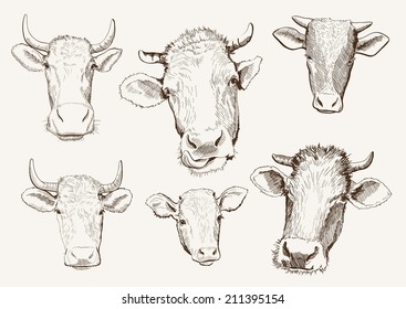 vector sketch of a cow, made by hand