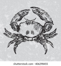 Vector sketch crab. Grey grunge print.