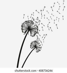 Vector sketch of cute dandelions on a white background.