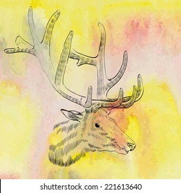Vector sketch deer  on the watercolor background.