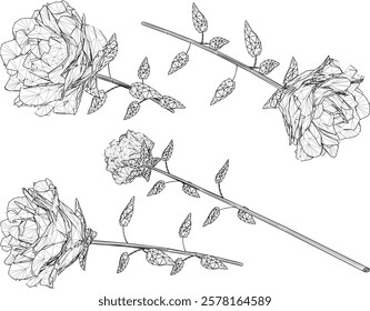 vector sketch design of a rose flower with poisonous thorns