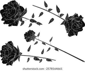 vector sketch design of a rose flower with poisonous thorns