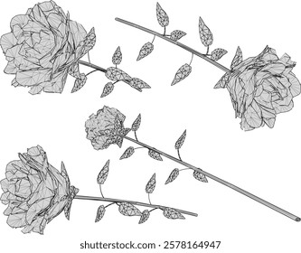 vector sketch design of a rose flower with poisonous thorns