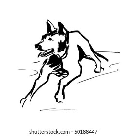 Vector sketch a dog