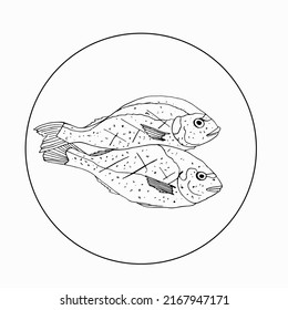 Vector sketch of Dorado sea fish with spices for restaurant menu, culinary website.