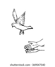 Vector sketch dove hands on white backrgound No war 