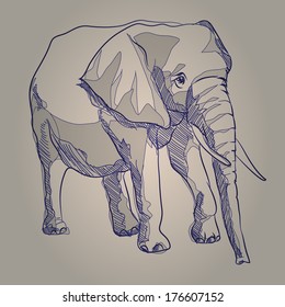 Vector sketch drawing elephant standing