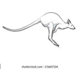 Vector sketch drawing kangaroo jumping