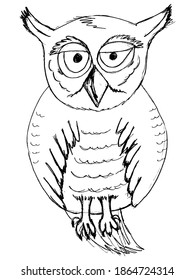 Vector, sketch drawing of owl. Wild bird from woods. Night carnivore of nature. Illustration of cute animal, symbol of wisdom for coloring book