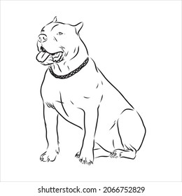 Vector sketch drawing pitbull barking pit bull terrier dog vector