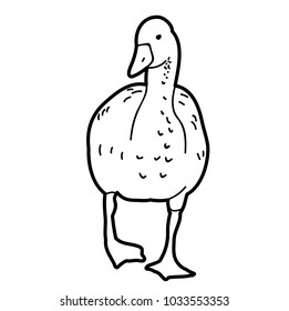 vector, sketch duck, bird on white background