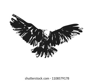 Vector sketch eagle