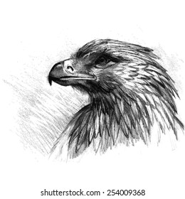 Vector sketch eagle  Hand draw illustration 