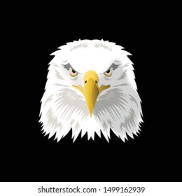 
Vector sketch of an eagle's face