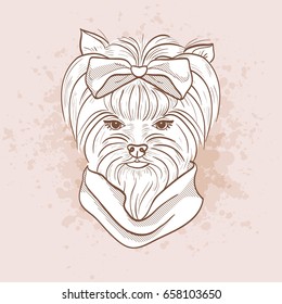 Vector sketch of elegant dog