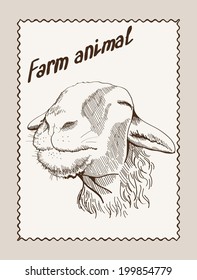 vector sketch of a ewe, made by hand