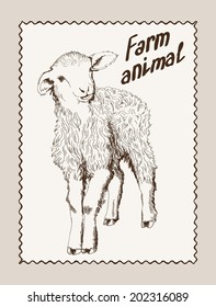 vector sketch of a ewe, made by hand