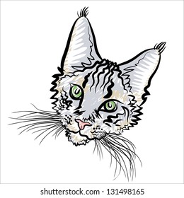 Vector sketch of the face of a cat on the white background.