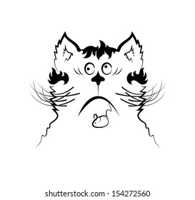 Vector sketch of the face of a cat on the white background.