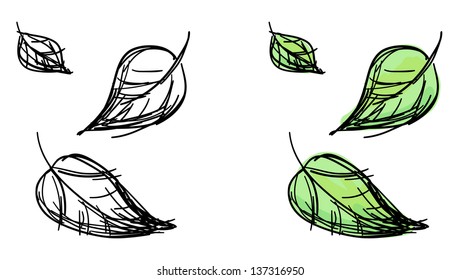 Vector sketch of falling leaves. Black and white and colorful green variants.