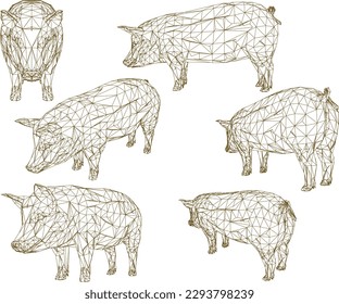 Vector sketch of farm pig illustration