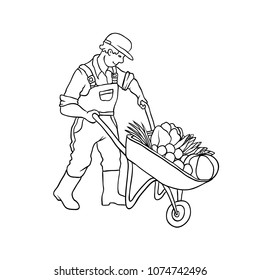 Vector sketch farmer man with cart vegetables. Autumn gardening harvest. Drawn contour cartoon coloured illustration character peasant working in garden. Isolated graphic on white background.
