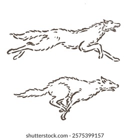 vector sketch of a fashion wolf running two movements with a unique and sporty design