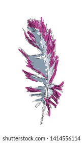 Vector sketch feather on white background