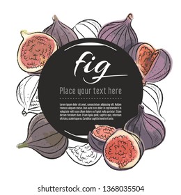 Vector sketch fig banner on white background. With place for text. Hand drawn sketch fruit graphic design	
