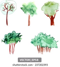 The vector sketch of the five trees on a white background. Trees painted with watercolors, on white background in vector. Green hand drawn trees.