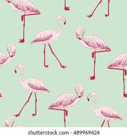 vector sketch of a flamingo. hand drawn seamless pattern