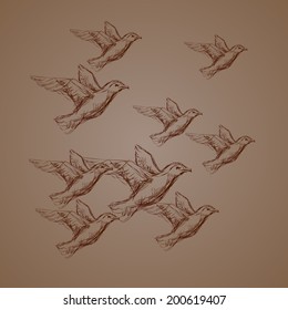 vector sketch of flocks of seagulls in the style of drawing runogo